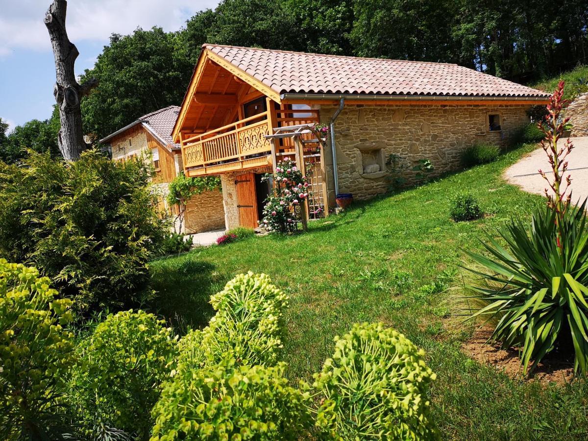 Chalet Le Clos De L'Orme Saint-Lattier المظهر الخارجي الصورة