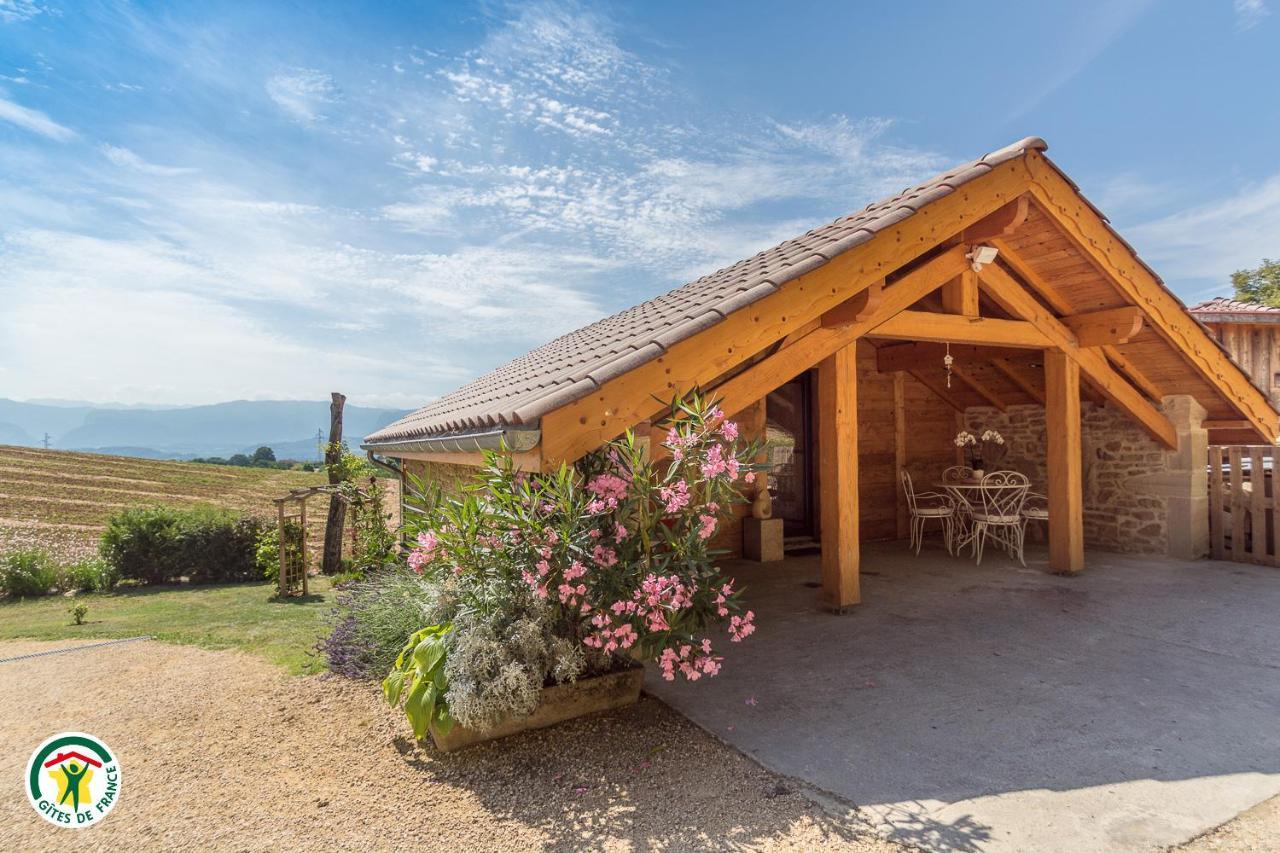 Chalet Le Clos De L'Orme Saint-Lattier المظهر الخارجي الصورة