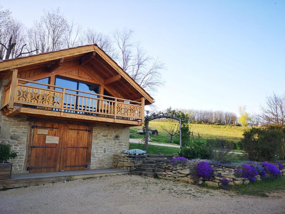 Chalet Le Clos De L'Orme Saint-Lattier المظهر الخارجي الصورة